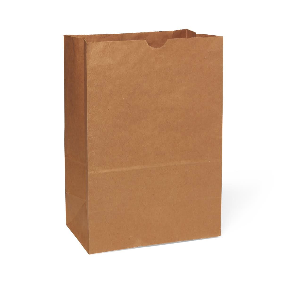 Medline Brown Paper Bag by Medline