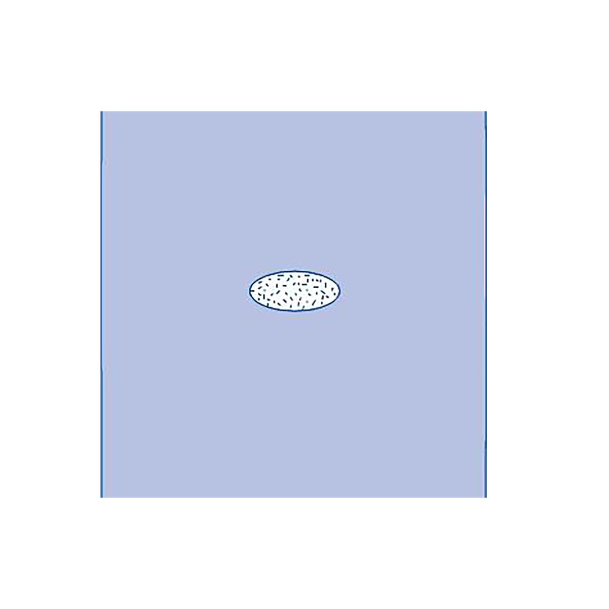 Medline Adherent Window Drape