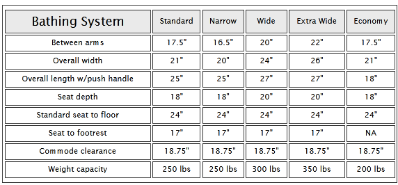 Healthline Healthline Bathing Transfer Systems bathing-transfer-systems